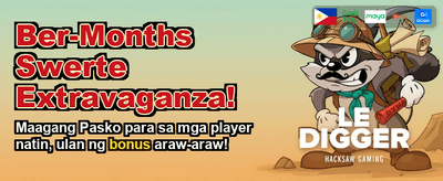 Premium Casino Gaming Experience