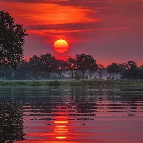 Catriona Gray avatar